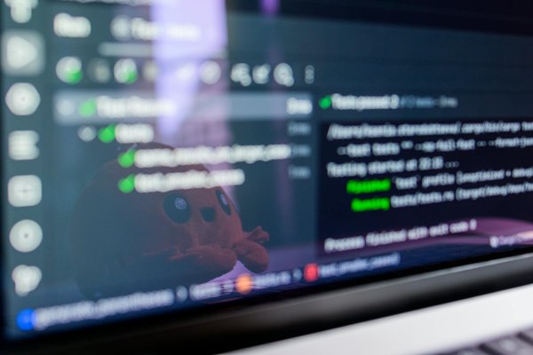 Was sind die besten Tipps für die Pflege älterer Haustiere?